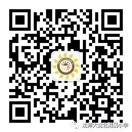 哪里可以找到推广篮球发展的资源_2